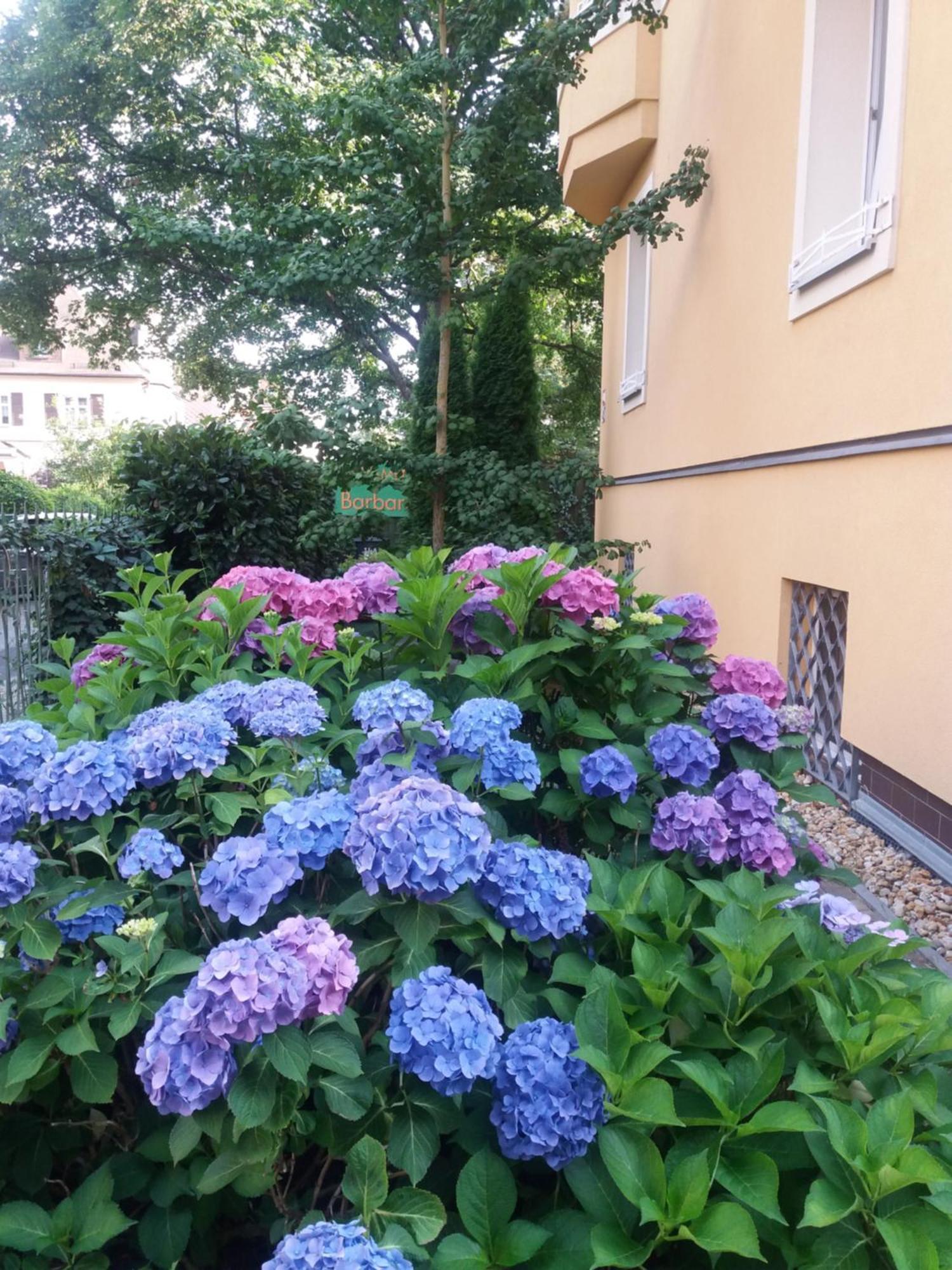 Apartment Barbara Marianske Lazne Bagian luar foto